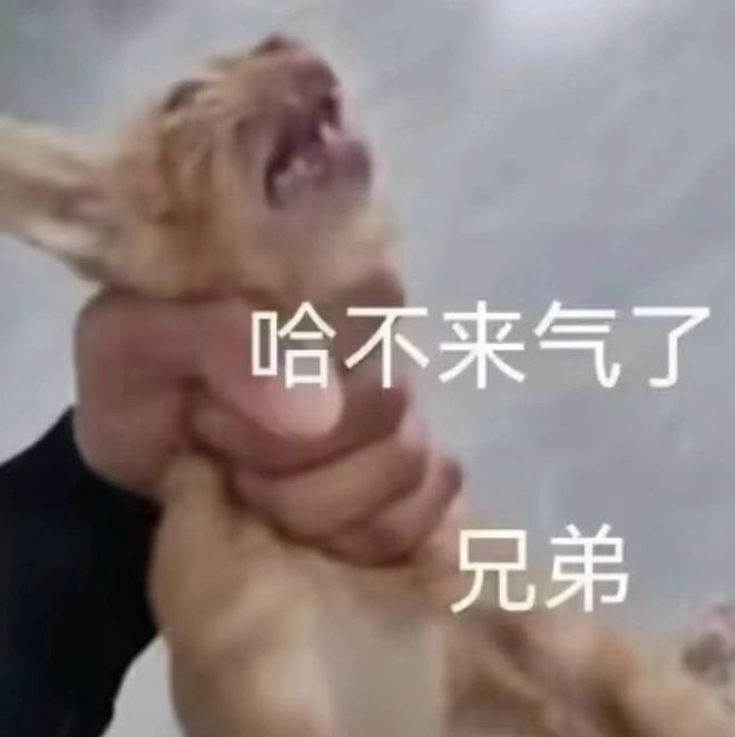 的大罪人监狱都被民间礼物塞满了…开元棋牌给日本人提供不打码影片(图6)
